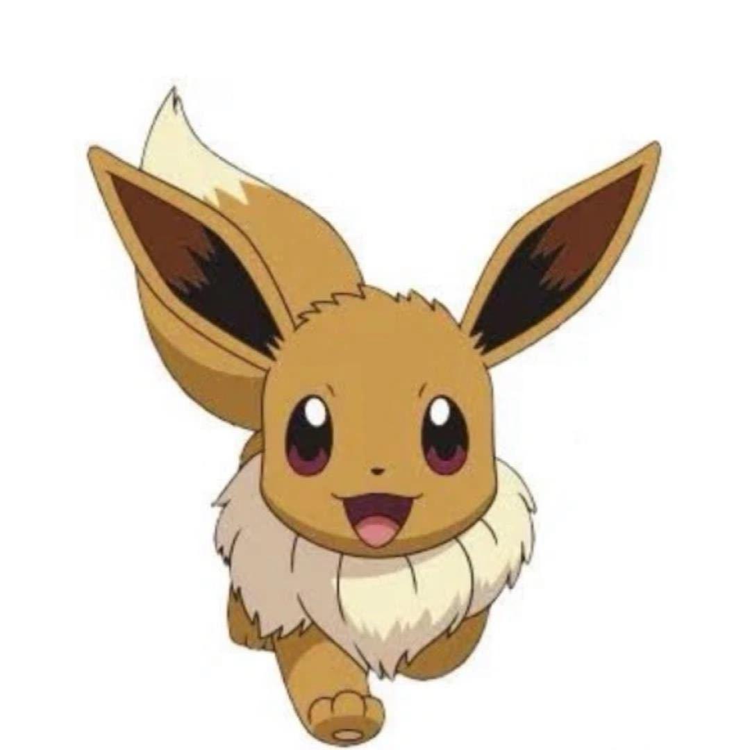 秋梨只