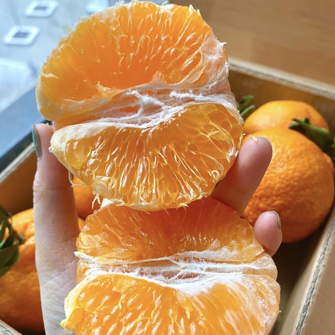 奔跑牛牛爱吃不知火丑橘