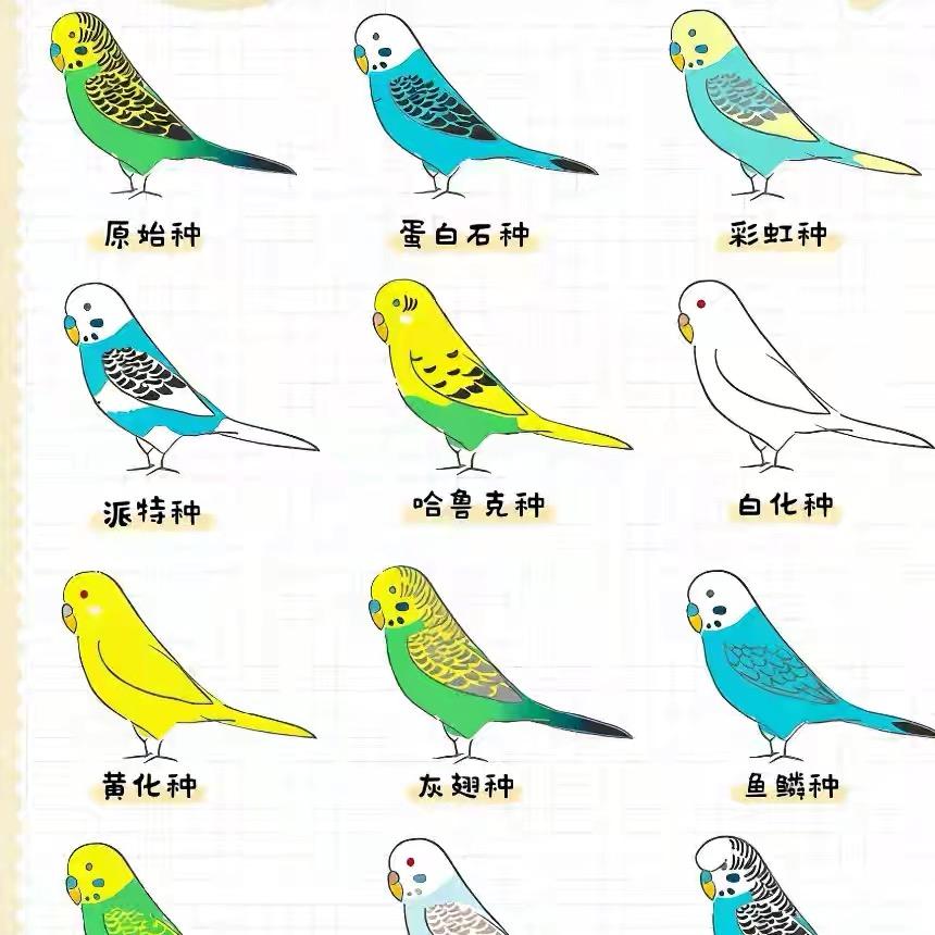 树涛养殖