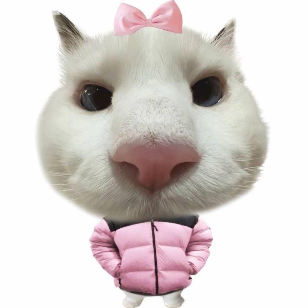 可是