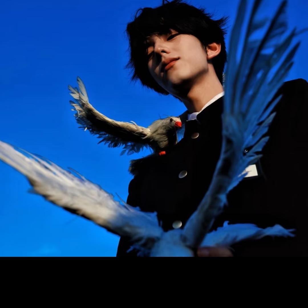 我是瞎子听不着