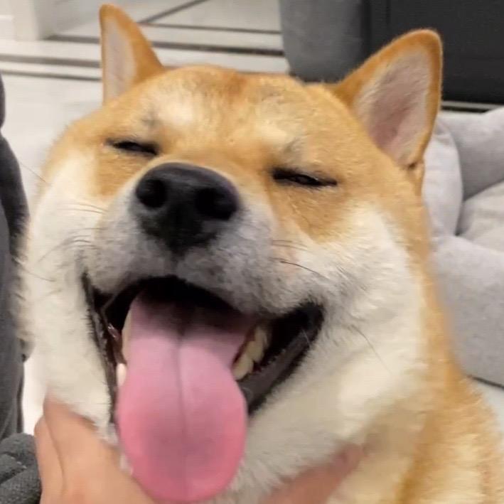 李小七
