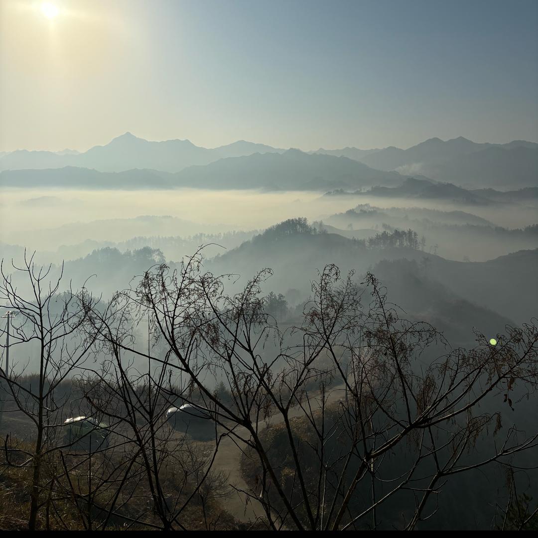 问心