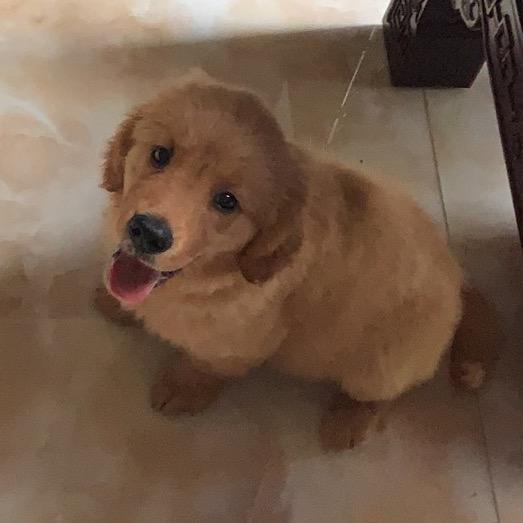 吉祥富贵行大运