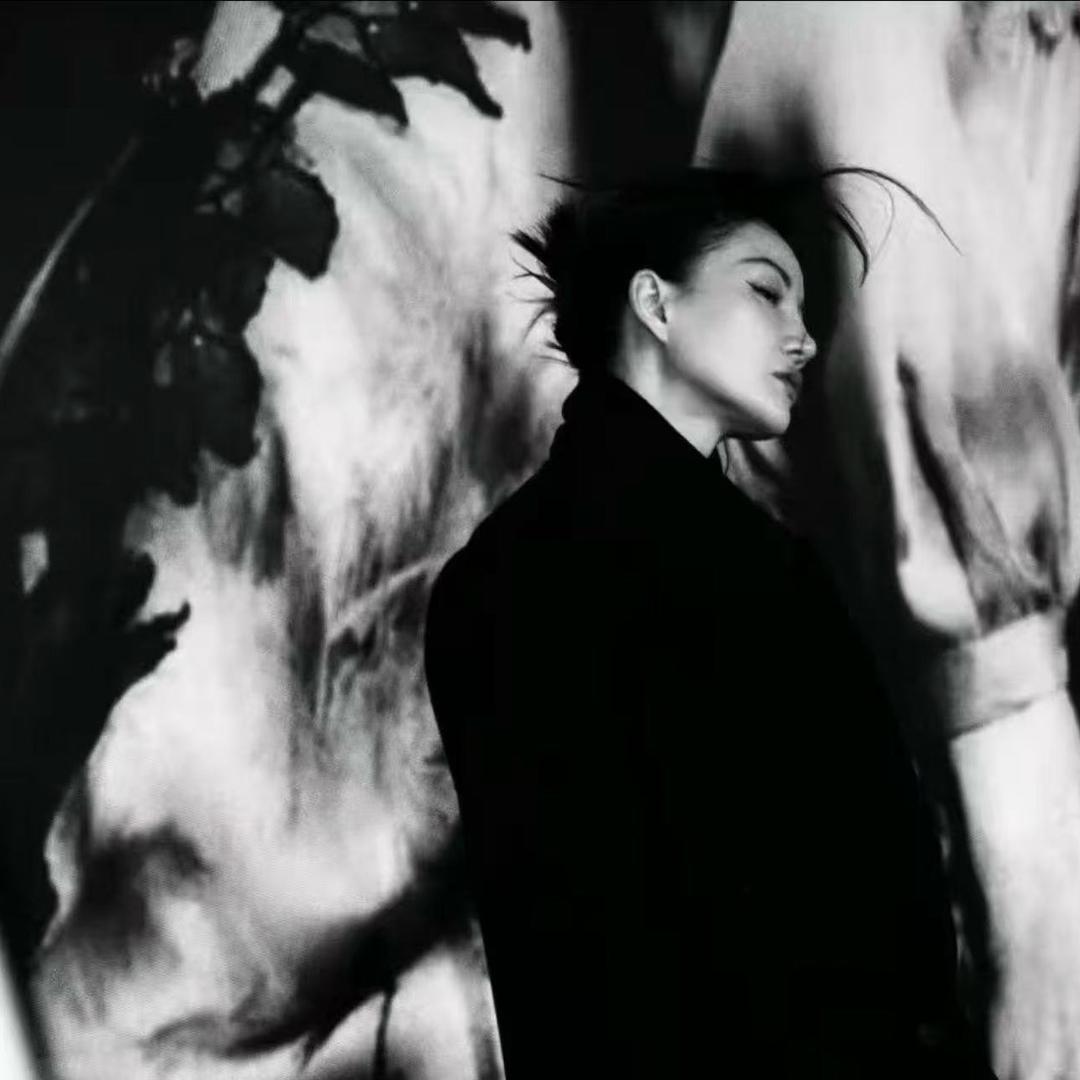 洛哥授权视频分享号