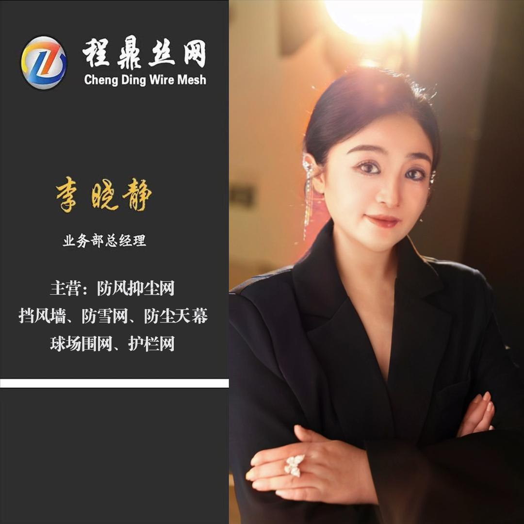 挡风墙 防风抑尘网厂家-程鼎丝网