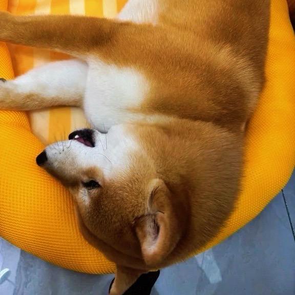 王小满的满级生活