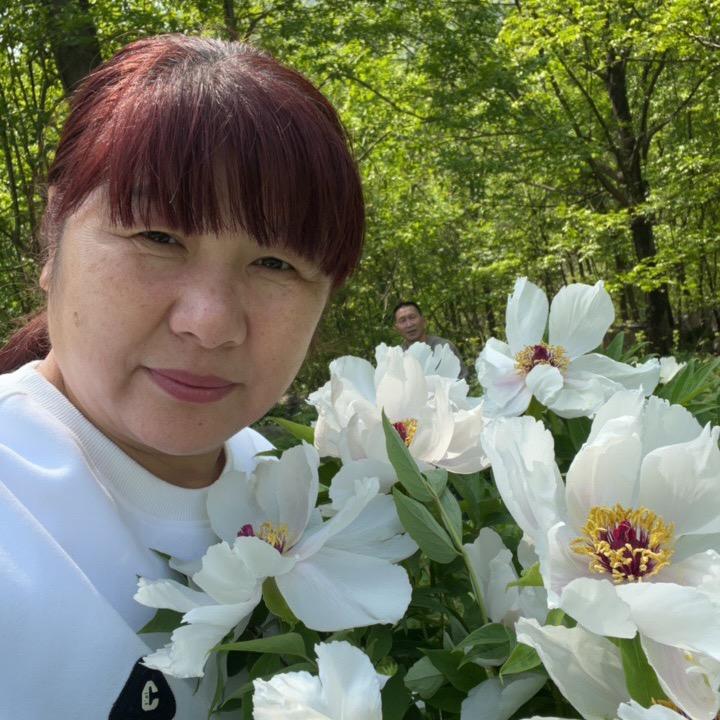 美妙心情