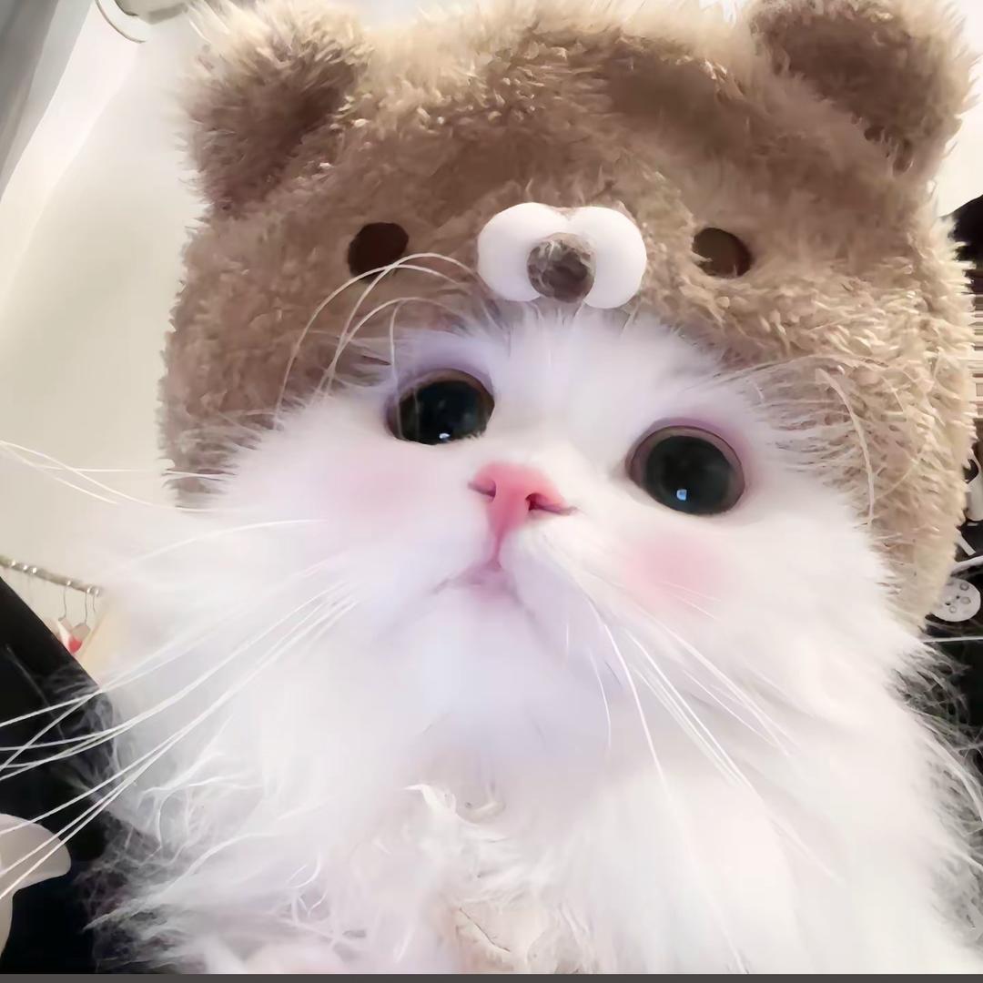 想你的夜^
