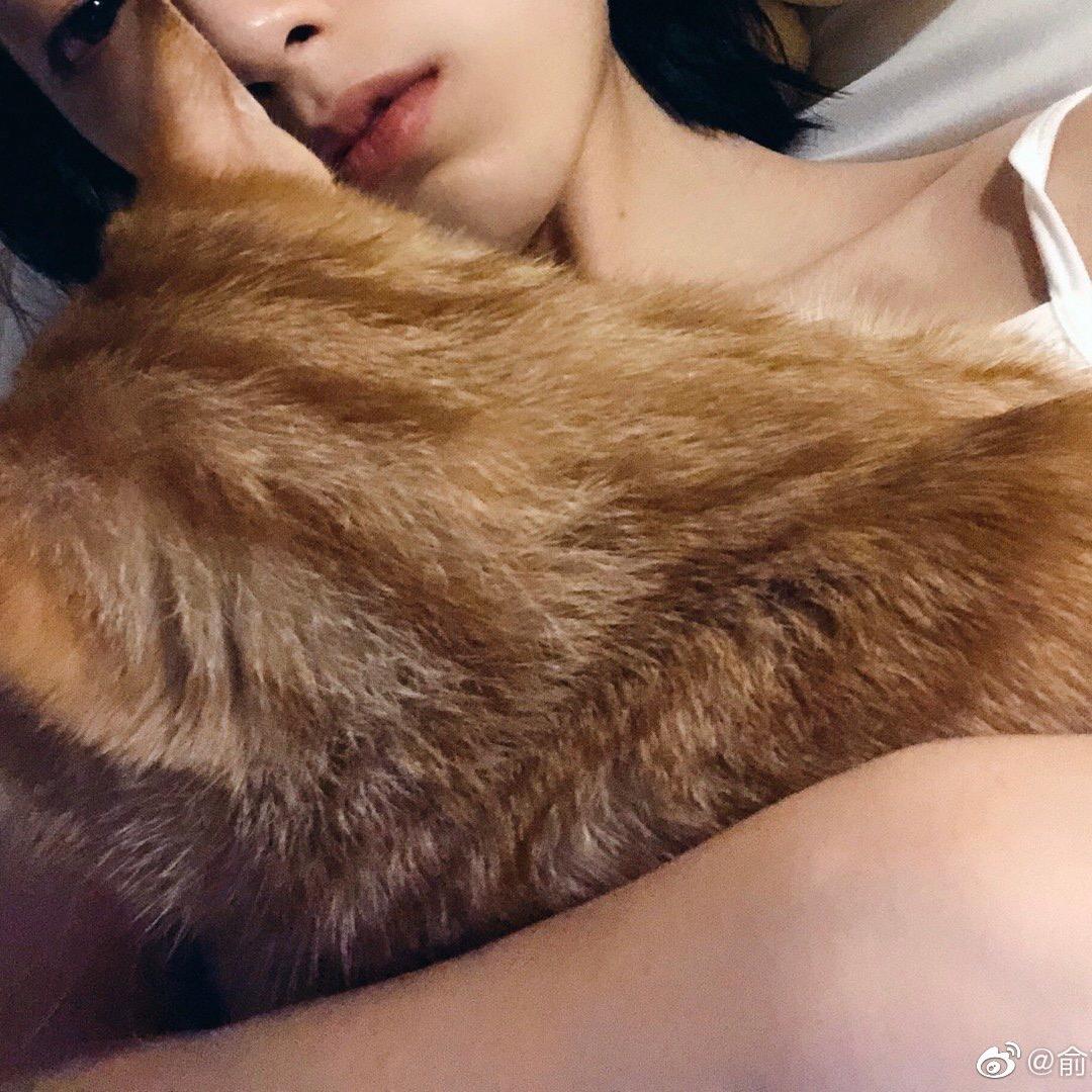 吃个折耳根根