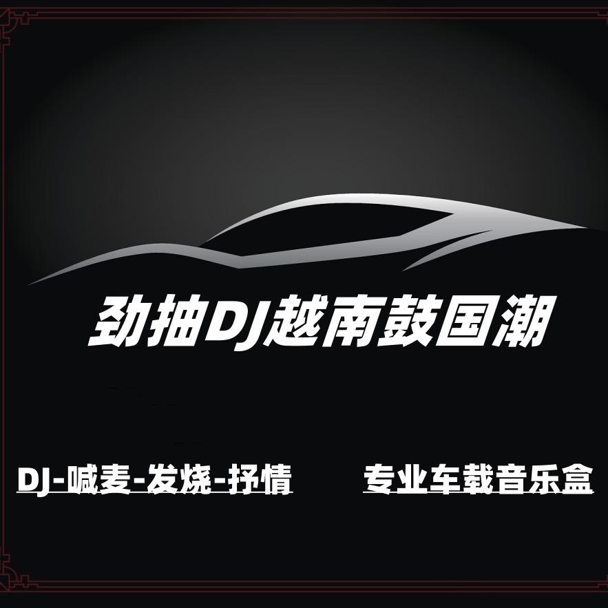劲抽DJ音乐（车载U盘）
