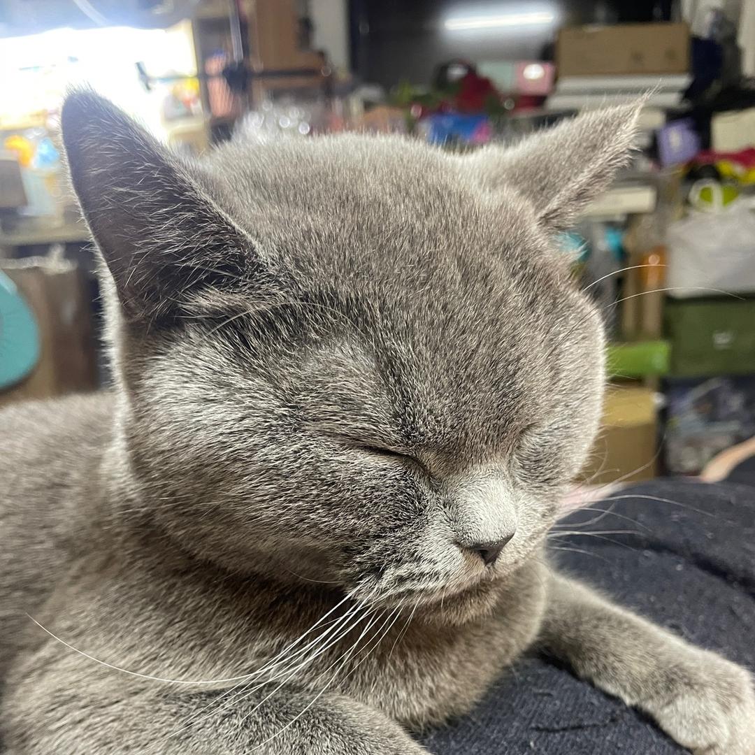 A deep love ─━═ 深愛