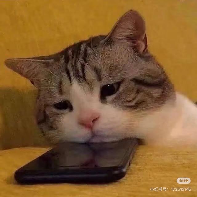三口一头猪