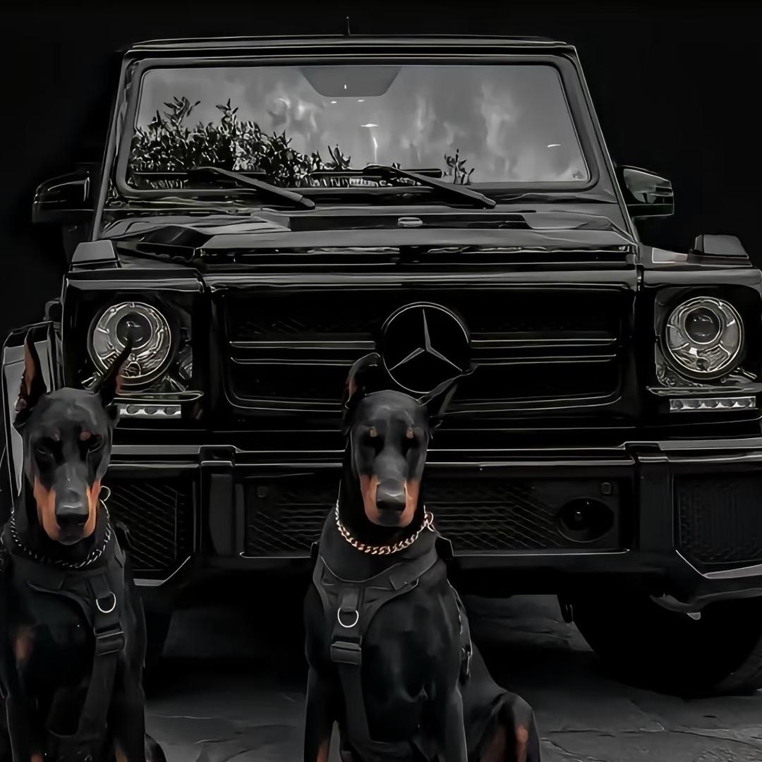 宁波海光二手车小翟（支持零首付）