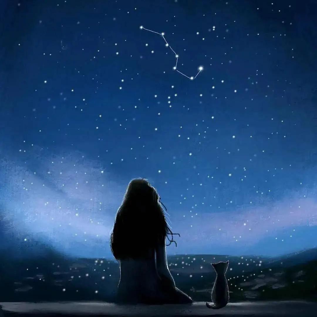 ✨星空影视✨