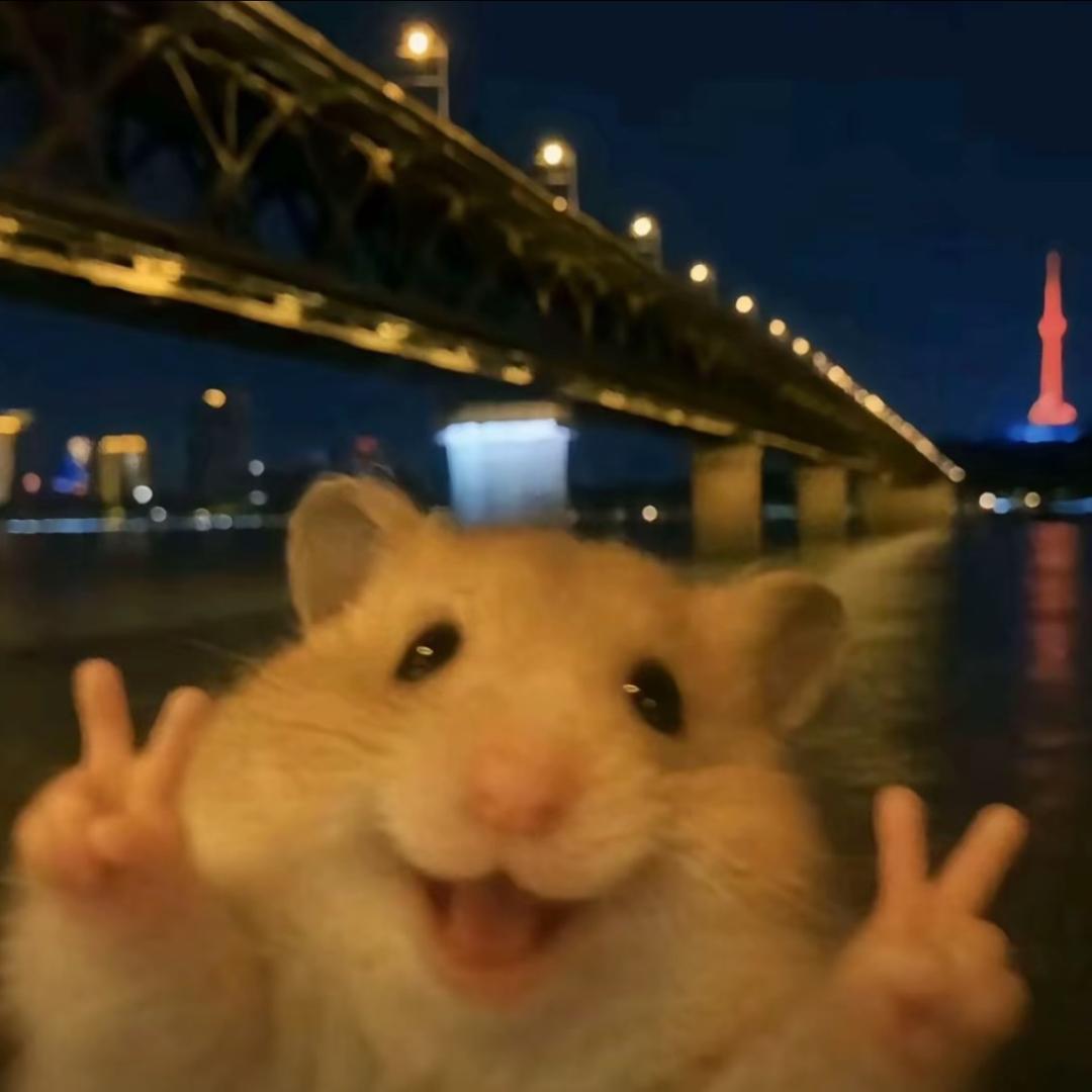 鼠片
