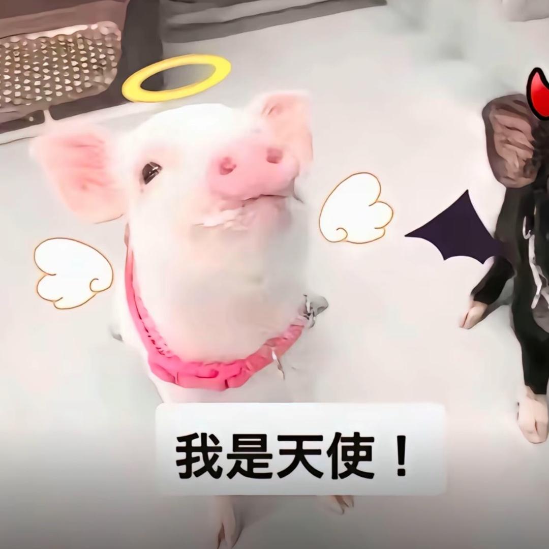 世界痛伤我我强迫自己睡一觉再说