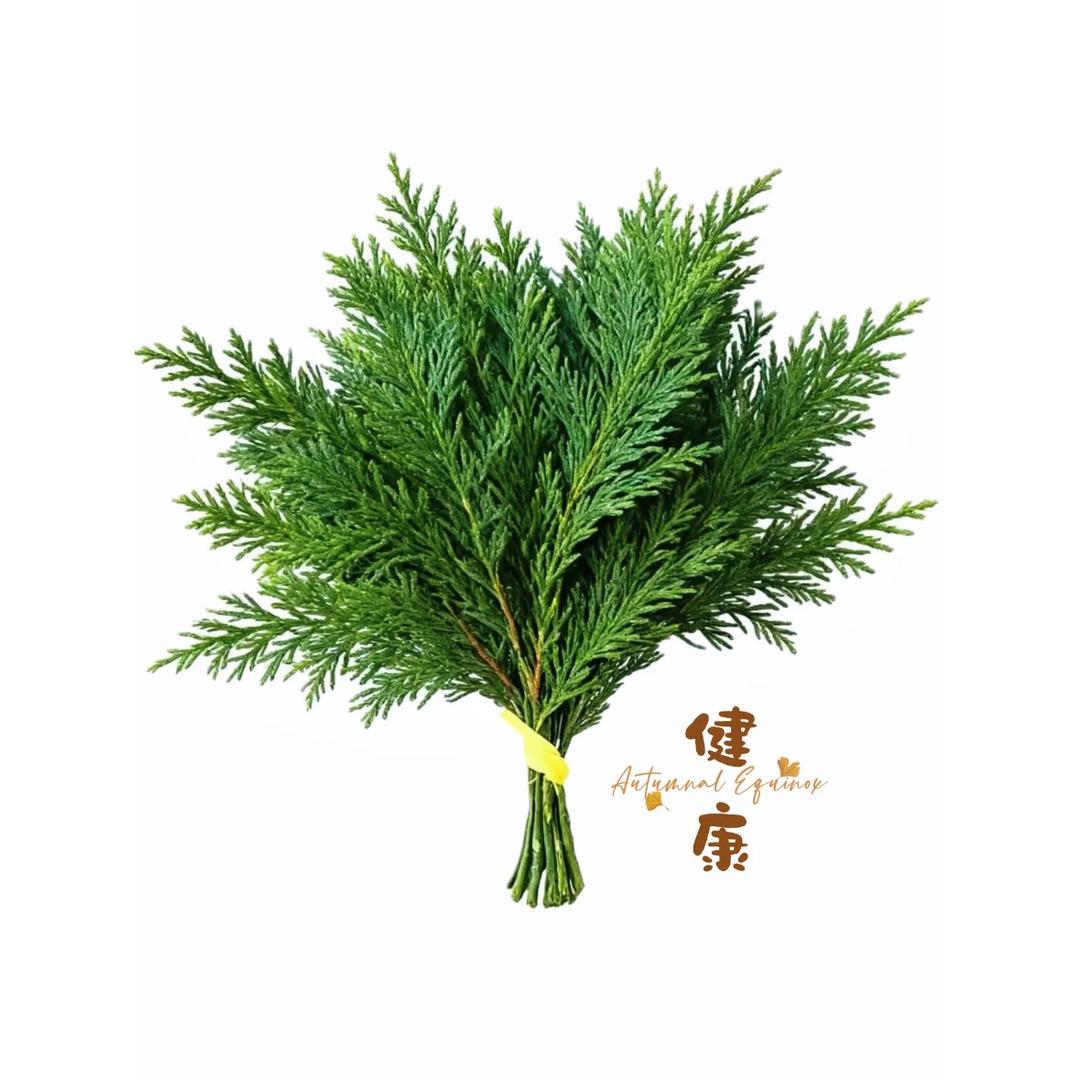 峏峄峓。
