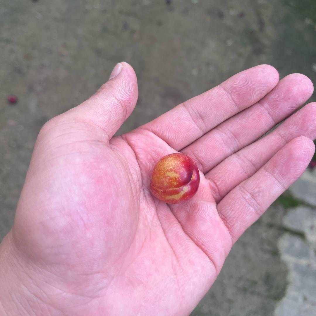 自救，自愈