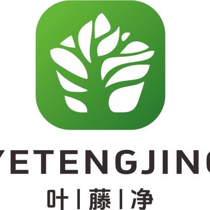 叶藤净甲醛分解片