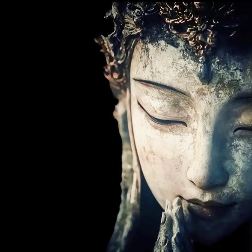 小张种猪场✨