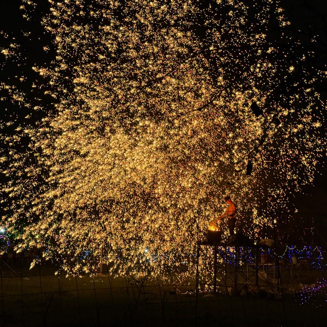 洱科主任权治聋