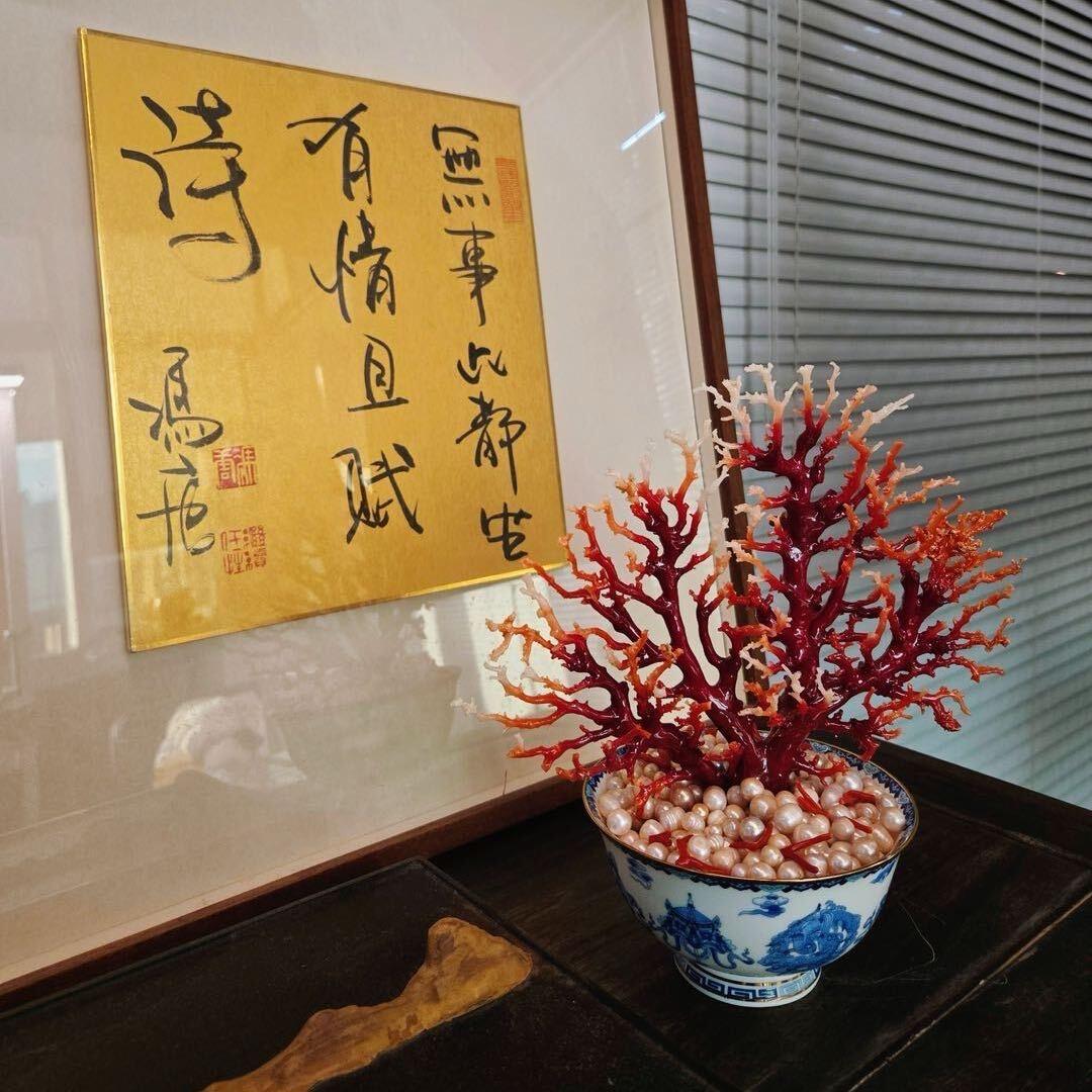 柒宝
