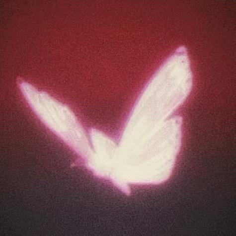 查拉拉（好运研究生版）