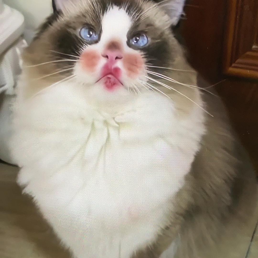 壹月柒跑刀（三角洲）