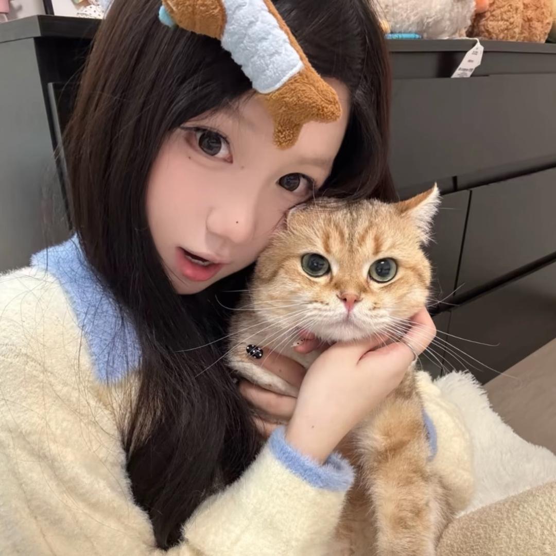 YiiI