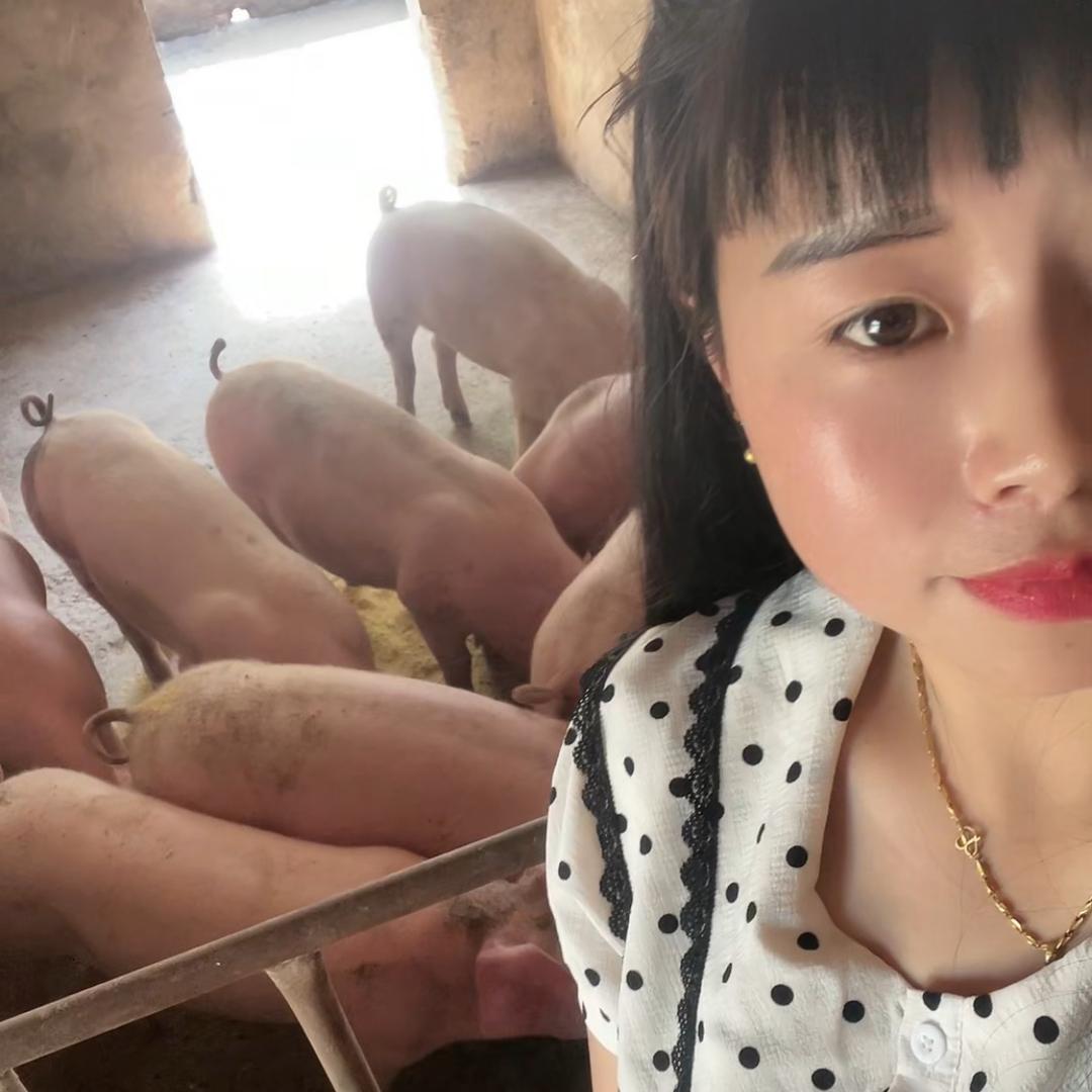 心想愿事成