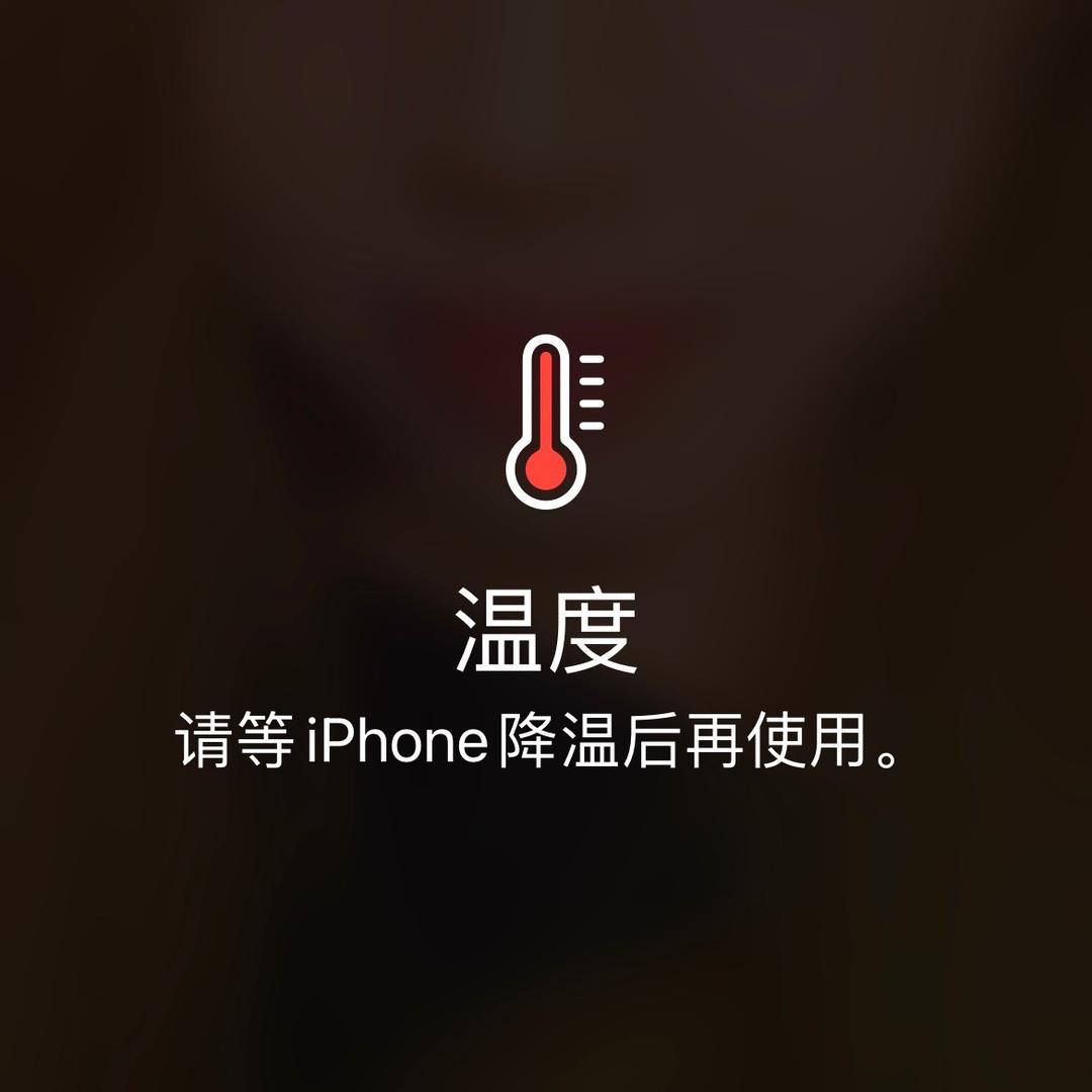 广东吴彦祖大