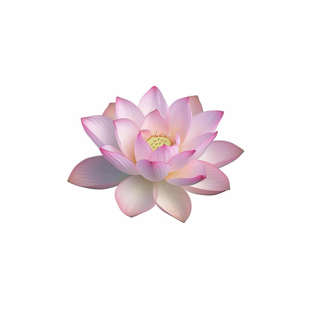 Zheng.