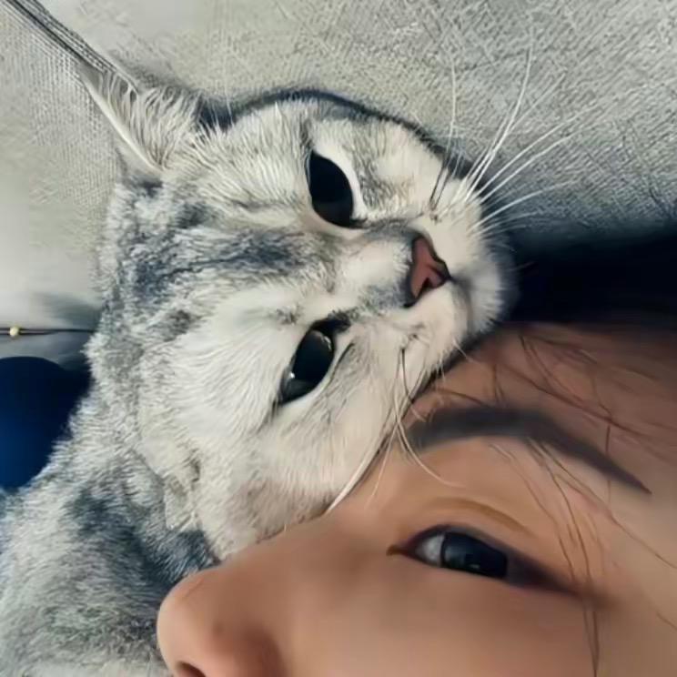 池婳$🤍