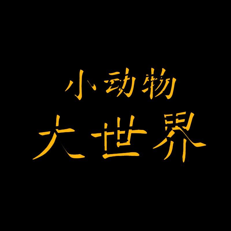 小动物大世界