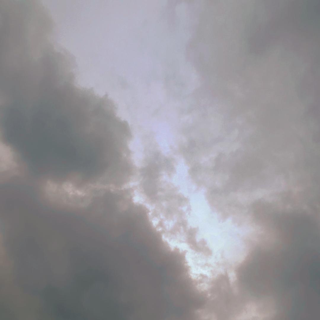 黄河三角洲