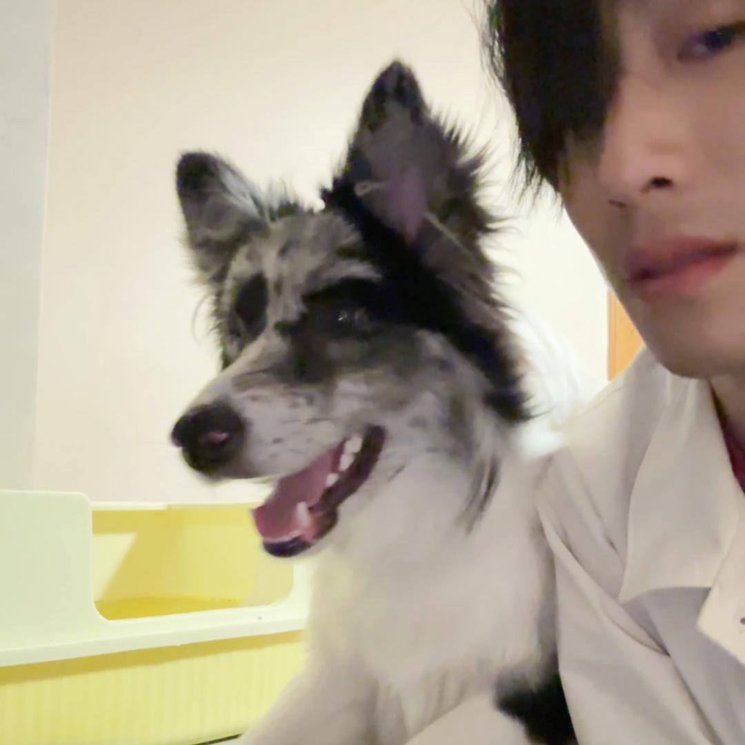 美才儿🤔