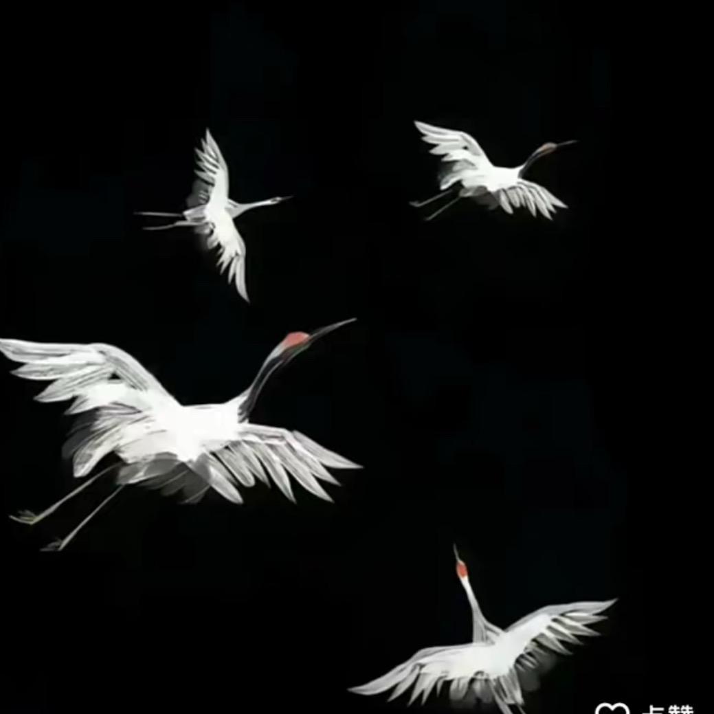 甜统治世界 🐙