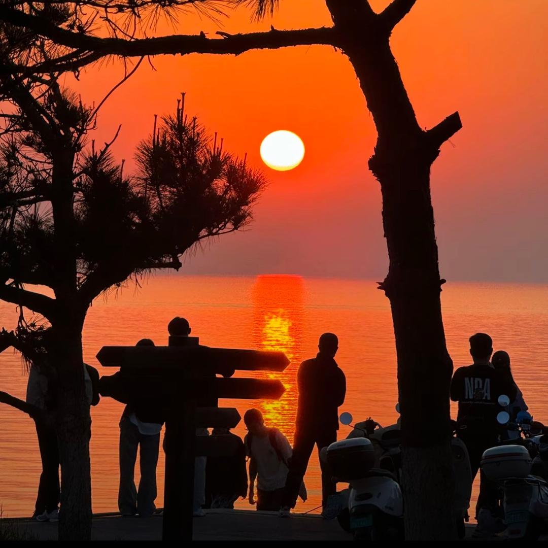 每天一瓶敌敌畏～