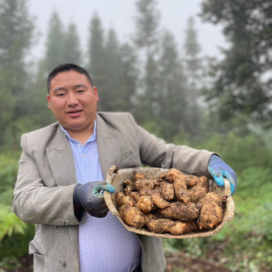 铁蛋（鲜果园）