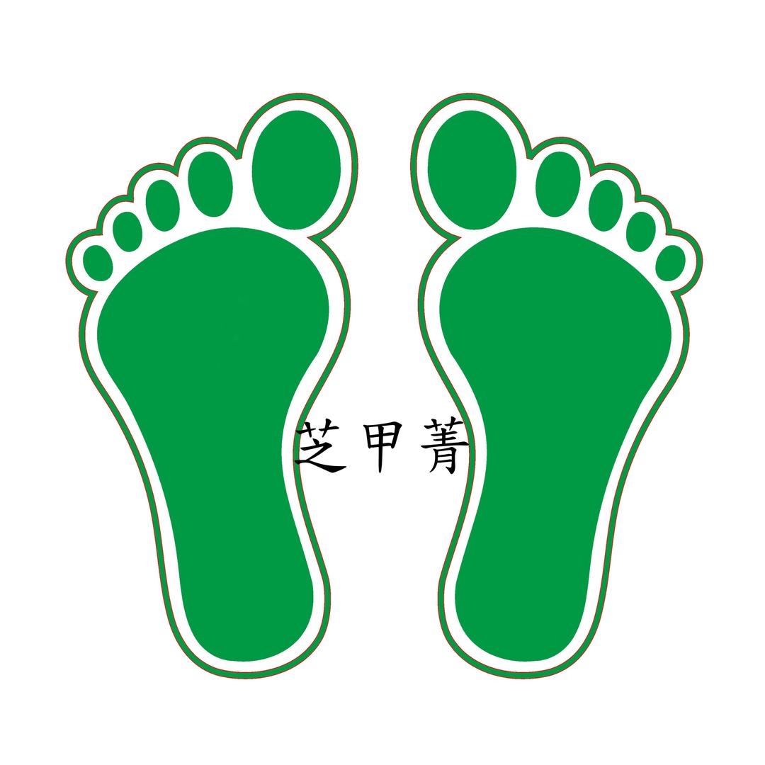 芝甲菁