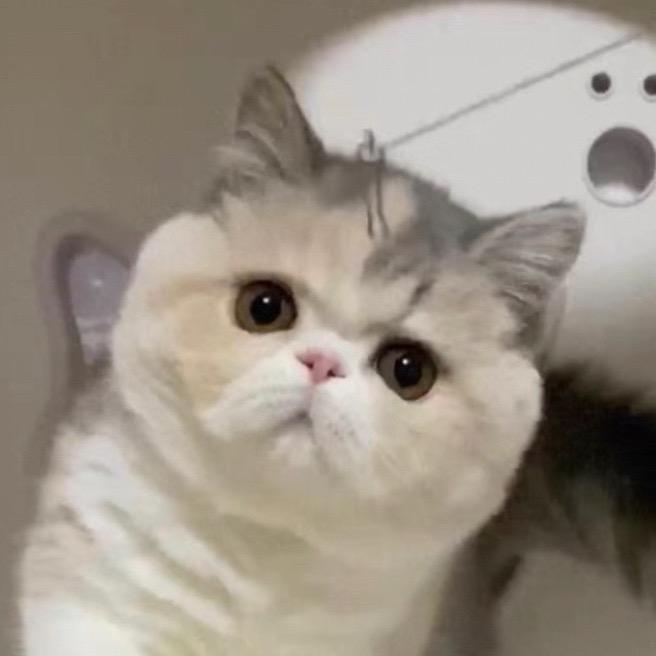 大卫