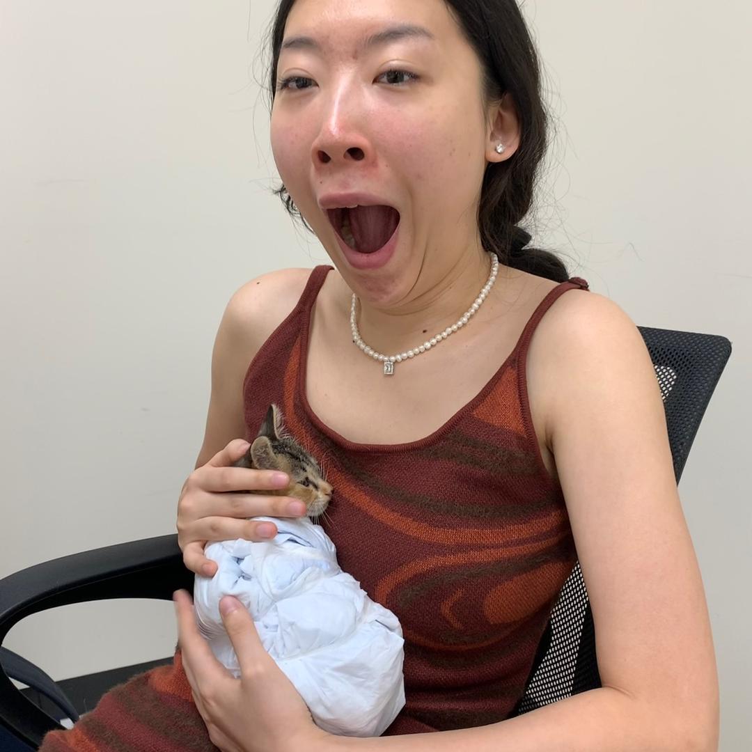 铿锵 玫瑰