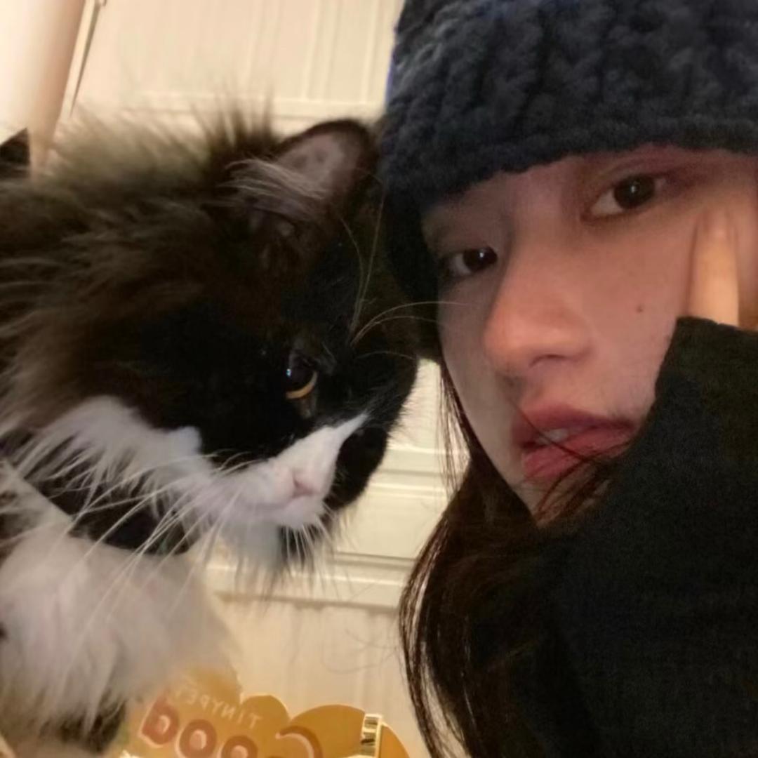 ᰔᩚ困的晕乎乎💤