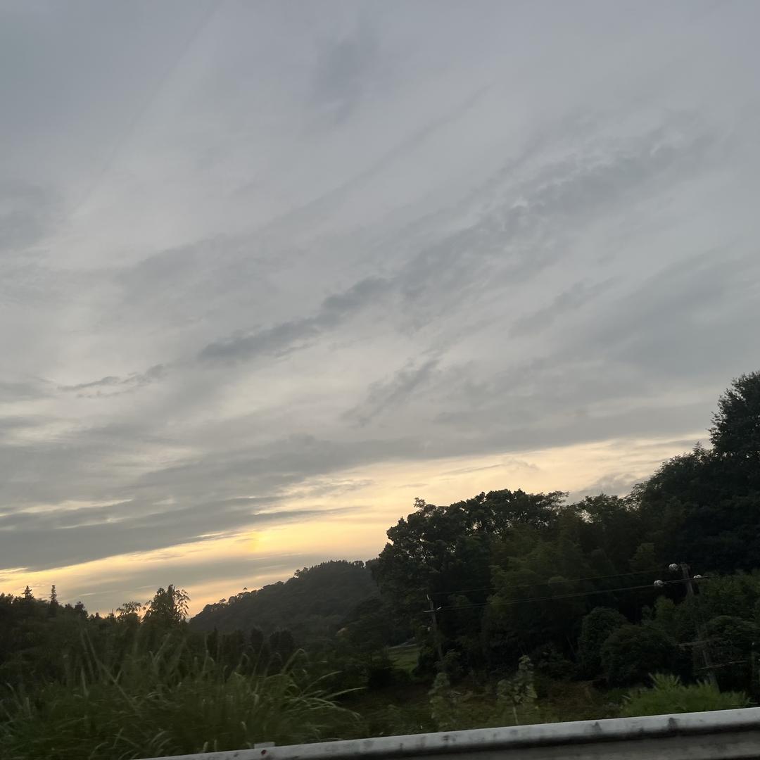 飞行模式