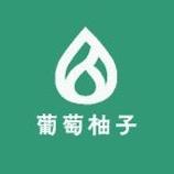葡萄柚子轻奢女鞋