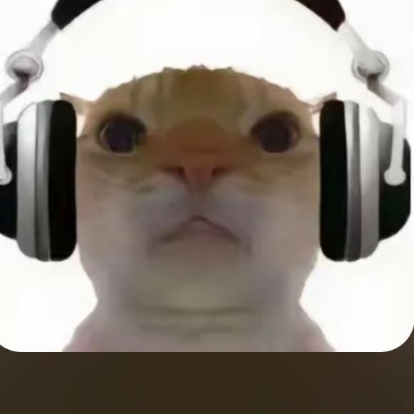 爱玩游戏的小李子