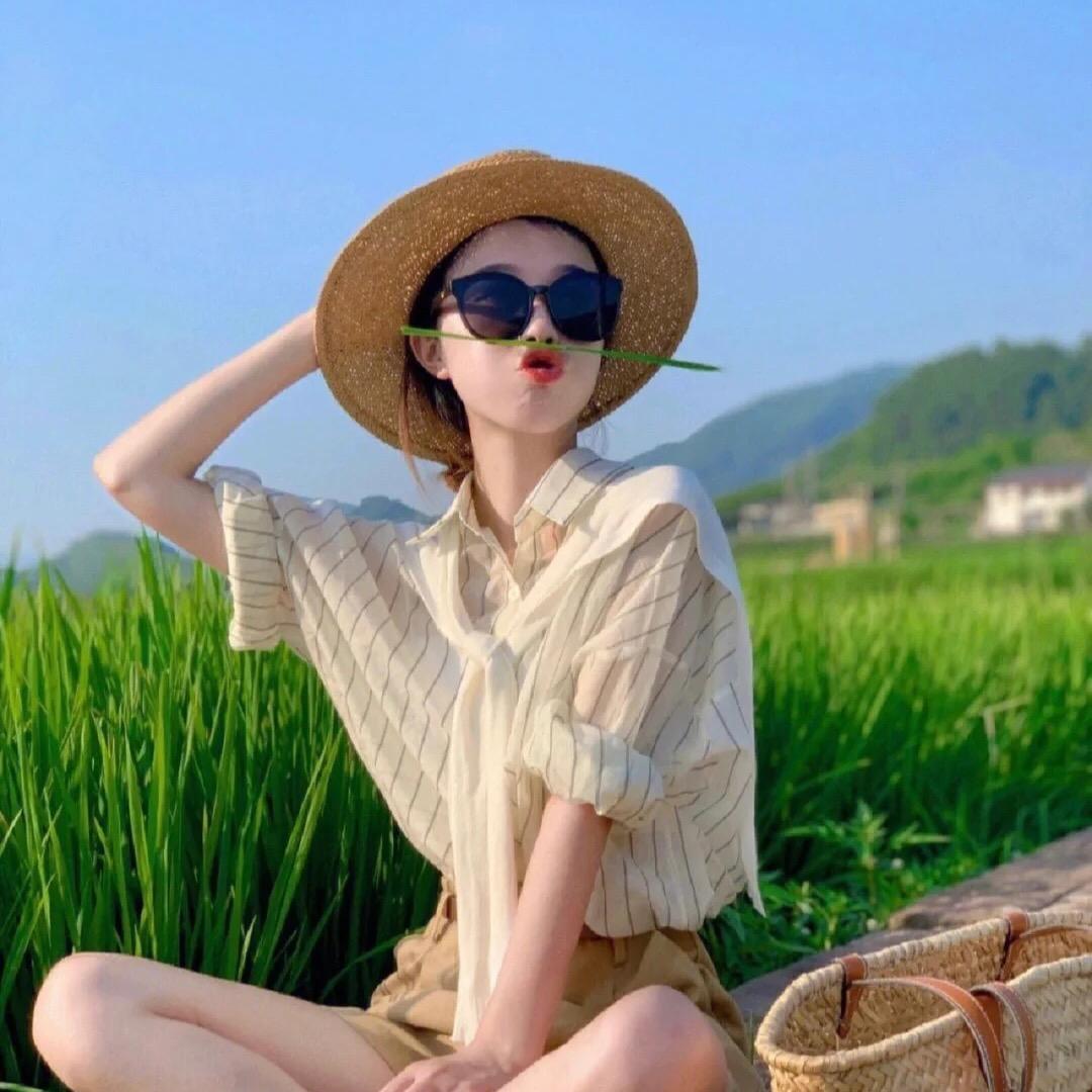 燕子肥肥