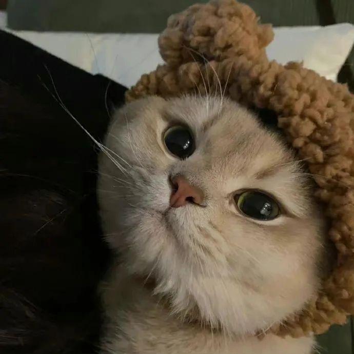 善良开朗热情温暖乐观纯爱随和阳光小学生