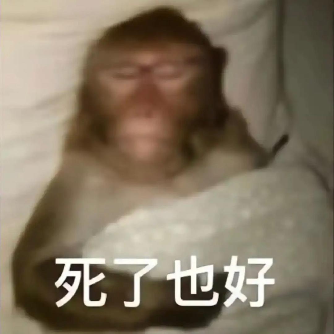 依托答辩